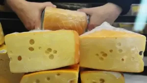 Красноярские специалисты рассказали, как отличить натуральный сыр от продукта